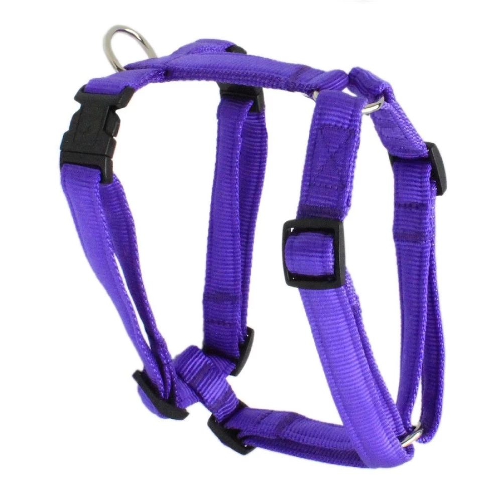 KOCH Geschirr NYLON-GESCHIRR UNI 25mm 80-115cm Gepolstert FĂŒr Hunde â Bild 3