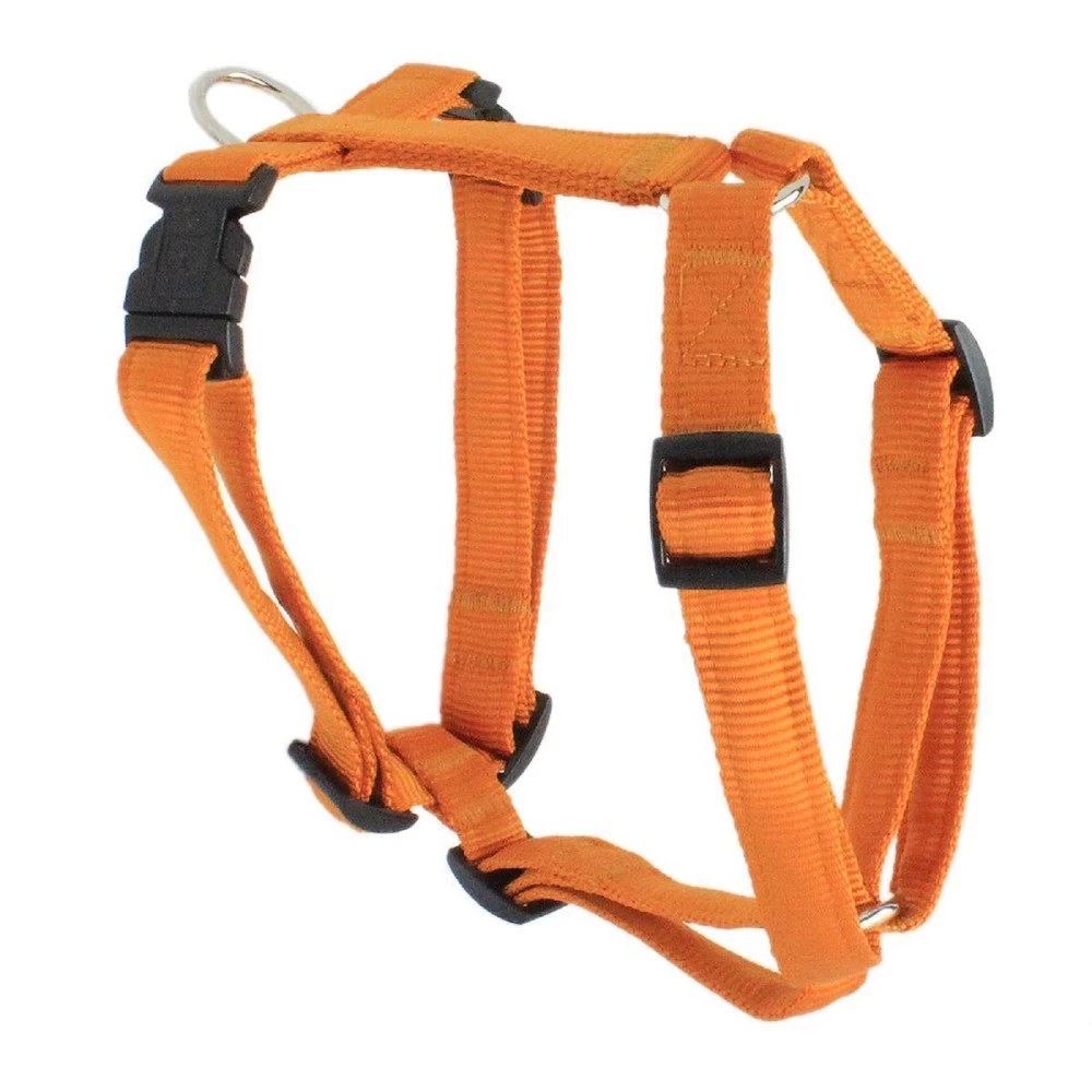 KOCH Geschirr NYLON-GESCHIRR UNI 25mm 80-115cm Gepolstert FĂŒr Hunde â Bild 4