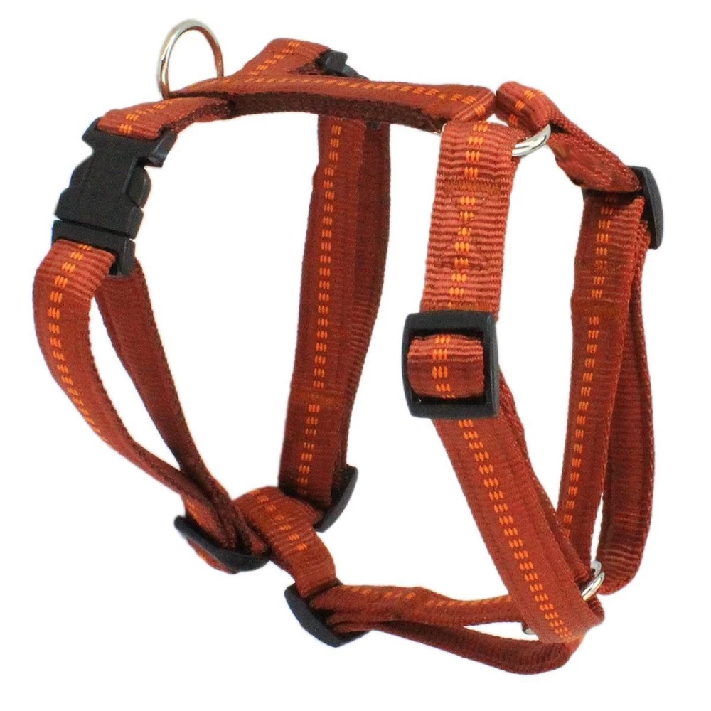 KOCH Geschirr NYLONGESCHIRR Mit Kennfäden 25mm 67-95cm Gepolstert Für Hunde – Bild 8