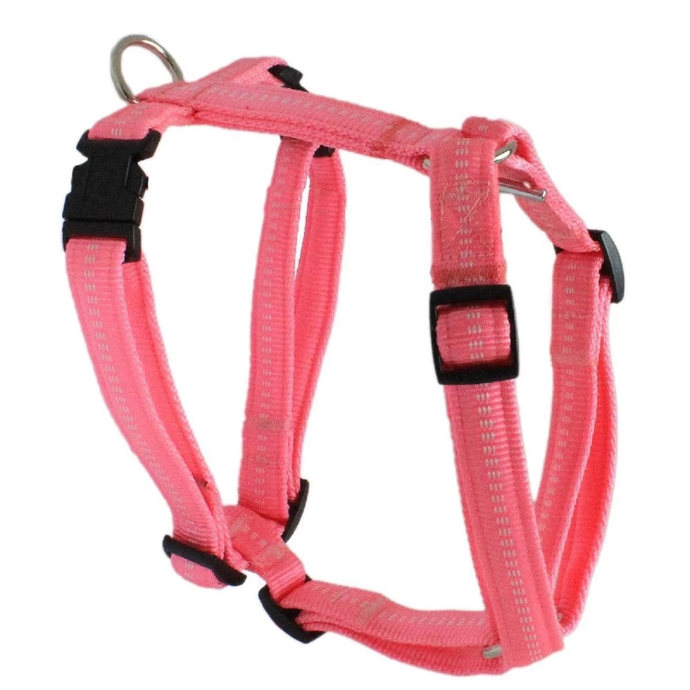 KOCH Geschirr NYLONGESCHIRR Mit Kennfäden Gepolstert 20mm 45-60cm Für Hunde – Bild 2