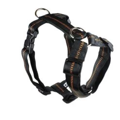 KOCH Geschirr NYLONGESCHIRR Mit Kennfäden Gepolstert Extra Breit 40mm Für Hunde