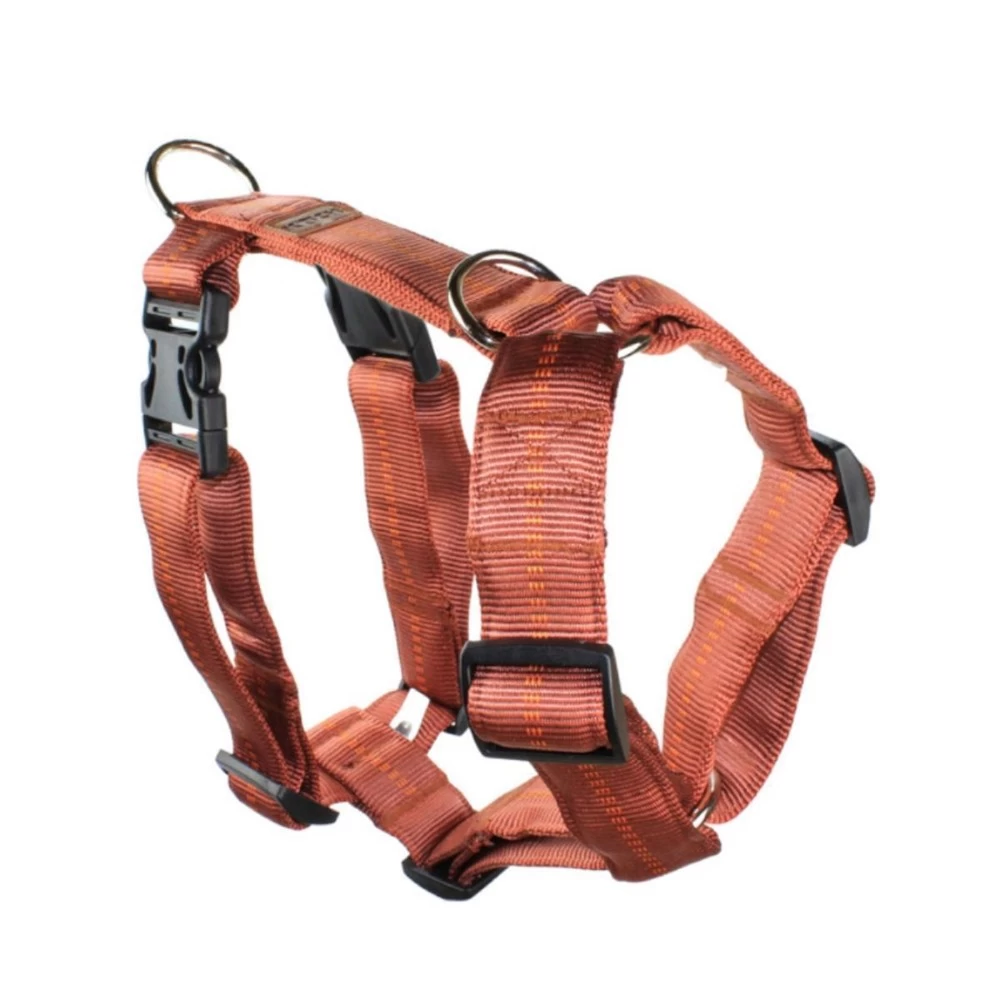 KOCH Geschirr NYLONGESCHIRR Mit Kennfäden Gepolstert Extra Breit 40mm Für Hunde – Bild 2