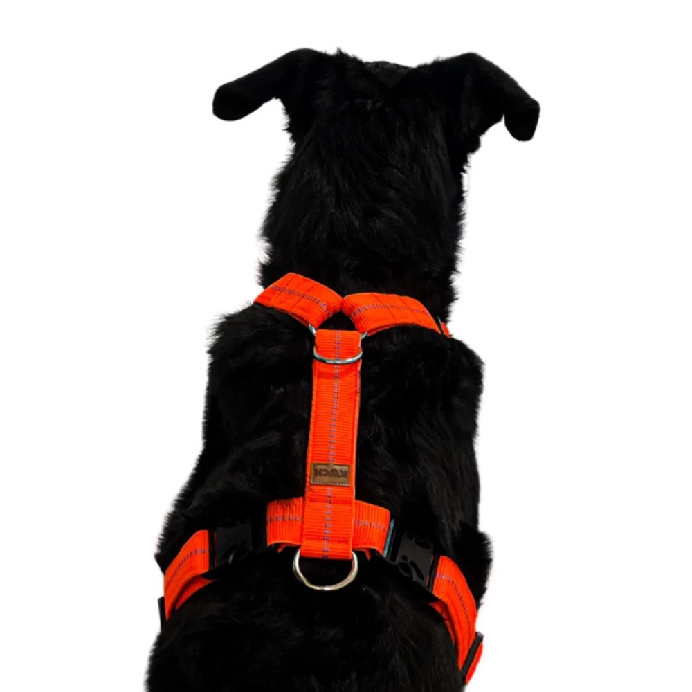 KOCH Geschirr NYLONGESCHIRR Mit Kennfäden Gepolstert Extra Breit 40mm Für Hunde – Bild 4