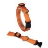 KOCH Halsband KLICK-HALSBAND UNI 20mm 35-55cm Gepolstert Für Hunde