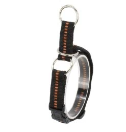 KOCH Halsband NYLON-KLICK-ZUGHALSBAND 25mm 45-65cm Gepolstert Für Hunde