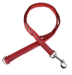 KOCH Leine NYLONLEINE Mit Kennfäden Stadtleine Gepolstert 20mm 120cm Für Hunde