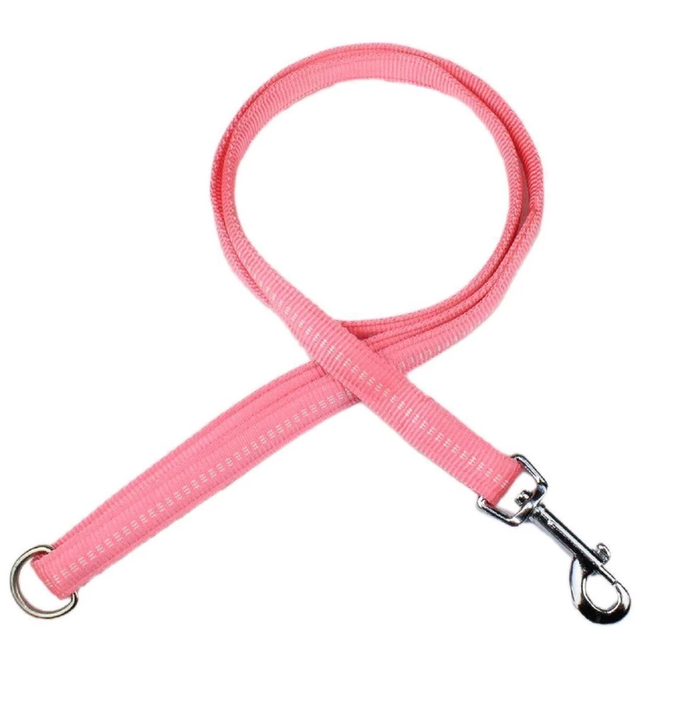 KOCH Leine NYLONLEINE Mit Kennfäden Stadtleine Gepolstert 20mm 120cm Für Hunde – Bild 2