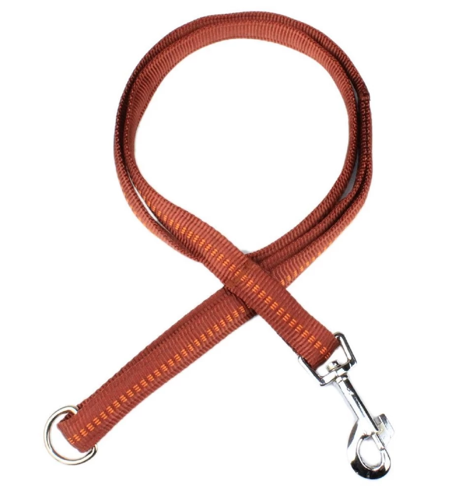 KOCH Leine NYLONLEINE Mit Kennfäden Stadtleine Gepolstert 20mm 120cm Für Hunde – Bild 6