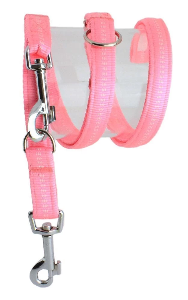 KOCH Leine NYLONLEINE Mit Kennfäden Verstellbar Gepolstert 15mm 200cm Für Hunde – Bild 6