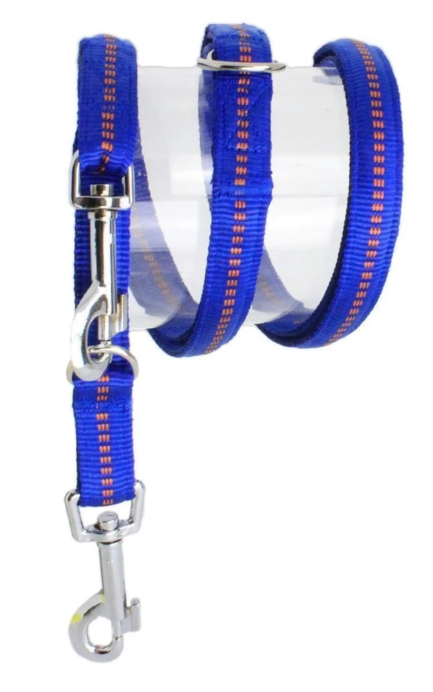 KOCH Leine NYLONLEINE Mit Kennfäden Verstellbar Gepolstert 15mm 200cm Für Hunde – Bild 9