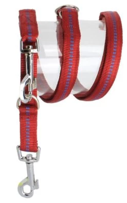 KOCH Leine NYLONLEINE Mit Kennfäden Verstellbar Gepolstert 25mm 300cm Für Hunde