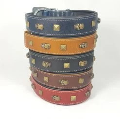 Savelli-Pet Halsband Echtleder Nieten Totenkopf Softpad Ca.36 - 46cm Für Hunde