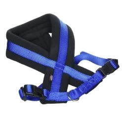 TRIXIE Geschirr Premium Touren-Geschirr M 45-70 Cm/25 Mm Blau Für Hunde
