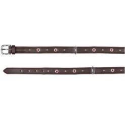 TRIXIE Halsband ACTIVE Leder Strassbesatz M 39-46cm 22mm Dunkelbraun Hunde