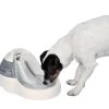 TRIXIE Wasserautomat Fresh Flow Deluxe 3 L Creme Für Hunde